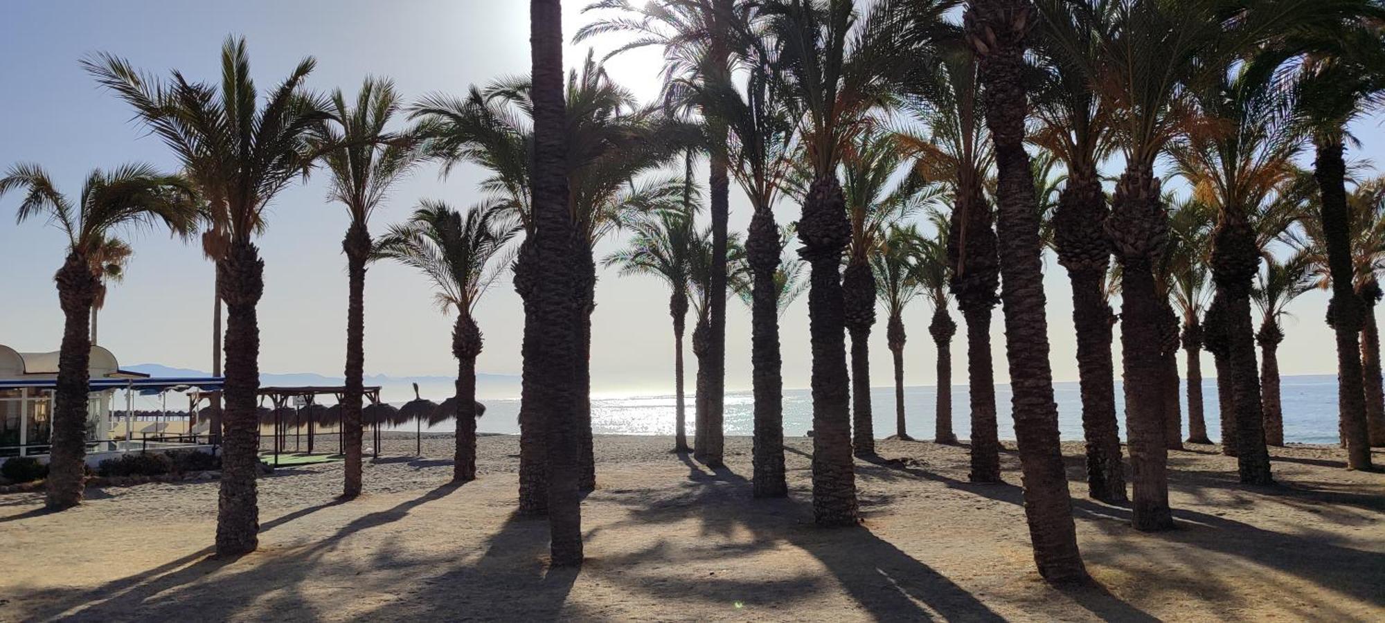 Torremolinos Bajondillo Beach Eksteriør billede